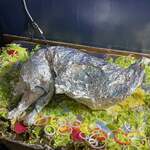 インド・パキスタン料理 アルバラカ - 