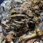 インド・パキスタン料理 アルバラカ - 