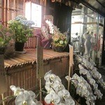 20周年のお祝いの御花でいっぱい！流石新地の二つ星店、大きな胡蝶蘭ばっか！