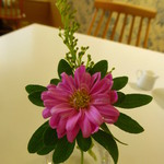 Cafe Morozoff  - カワイイ花がテーブルに置いてありました(*^^*)
