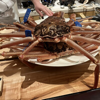 新地 やま本 - 松葉蟹（1.4jg 1.2kg 1.2kg）