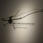 白川公園の１本東側の通り沿い