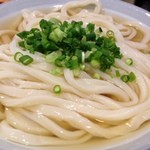 純手打ち讃岐うどん五郎 - ひやひや（大）