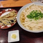 純手打ち讃岐うどん五郎 - 全体を～