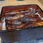 Ikiunagi Shami - 