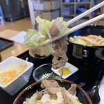 Yoshida no udon menzu fujisan - うどんの野菜と肉