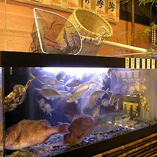 restaurant with fish tanks