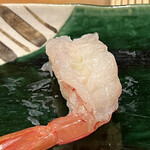 Sushi Tomi - 赤海老