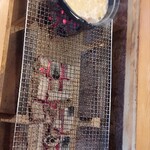 地獄温泉青風荘 - 