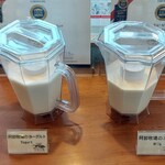 地獄温泉青風荘 - 