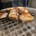 焼肉ホルモン 風土. - カリトロホルモン