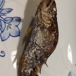 地獄温泉青風荘 - 