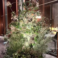 ザ タヴァン グリル＆ラウンジ - 