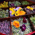 WAGYU YAKINIKU IBUSANA - 広島梶谷農園からのハーブサラダ　(花も美味しく頂けます)