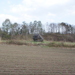 ラ・ヴェルドゥーラ - 散歩の途中で大きな石がぽつんと　後で聞いたら噴火で飛んできた石だそうな