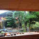 御料理ふじ居 - カウンターからの庭