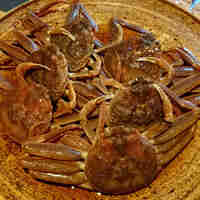 御料理ふじ居 - 本ズワイガニ（メス）