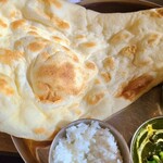 Jaya - 