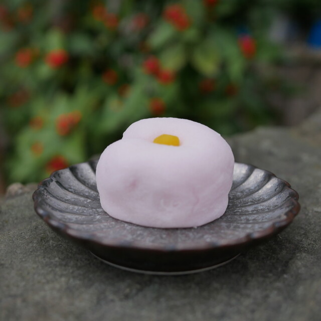 Onkashi Tsukasa Shioyoshiken - Imadegawa/Japanese sweets