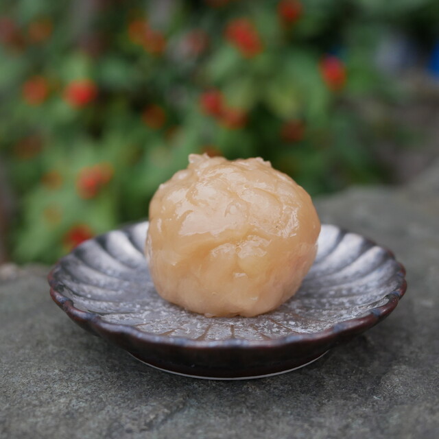 Onkashi Tsukasa Shioyoshiken - Imadegawa/Japanese sweets