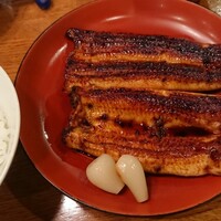 吉寅 -  吉寅 -