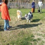 ラ・ヴェルドゥーラ - ドッグランで同宿のワンコと