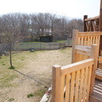 ラ・ヴェルドゥーラ - テラスからすぐにドッグランへ