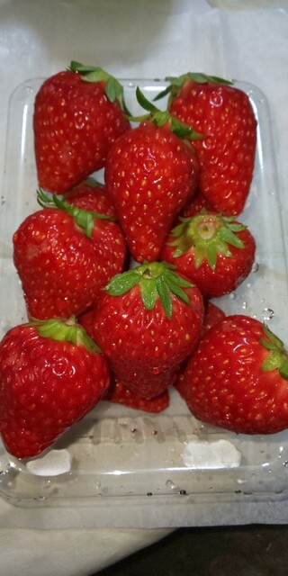 あれ・これ市場 - 川内村その他（その他）の写真