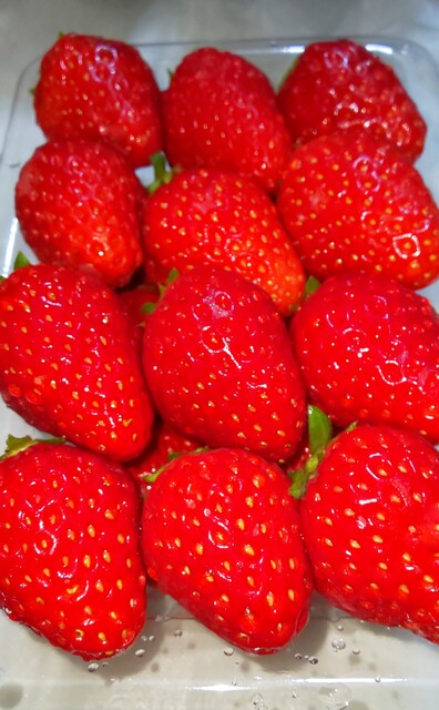 あれ・これ市場 - 川内村その他（その他）の写真