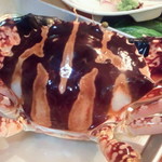 勝しん - １キロ特大トラガニ！