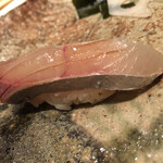 たかおか - しま鯵