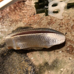 たかおか - 小肌