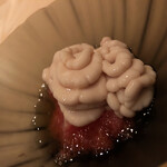 たかおか - 鱈の白子