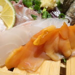 Uokagi Shokudou - お刺身盛り合わせ（真鯛，赤貝）※赤貝はサービス