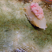 鮨　銀座　鰤門 - 