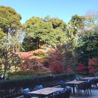 ブラッスリー_2