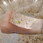 馳走 啐啄一十  - ⑫真鯵の腹身(山口県周防大島産、1kg、3日寝かせ)
      瀬戸内海産は日本海産や東京湾産に比べ脂のりが弱くて滋味深い印象だが、これは滋味がありつつ脂のりもあり、しかも脂質がクドくない素晴らしい個体