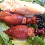 宇豆基野 - 宇豆基野ブランチ 2600円 の青リンゴ、蛍烏賊(ホタルイカ)、蛸のやわらか煮、薫製平湯葉のサラダ