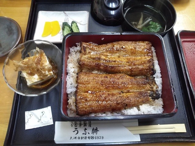 うな耕 伊予大洲 うなぎ 食べログ