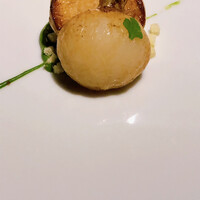 レフェルヴェソンス - 