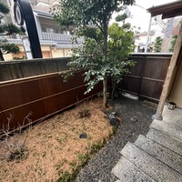 木山 - 