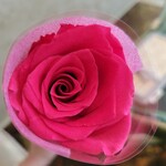 あざみ野うかい亭 - 