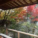 Momiji - 