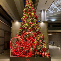 Lounge & Dining G - ホテルのツリー