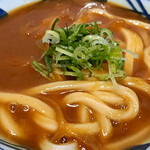 Marugame Seimen - カレーうどん（並）