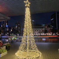 スミレオオサカ - 