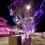 鮨おばな - 帰り道