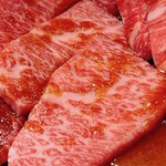 焼肉ホルモン 風土. - 