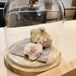 イル アオヤマ - 