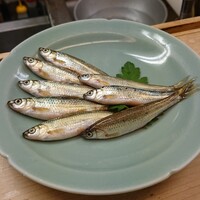 割烹 やました - 
